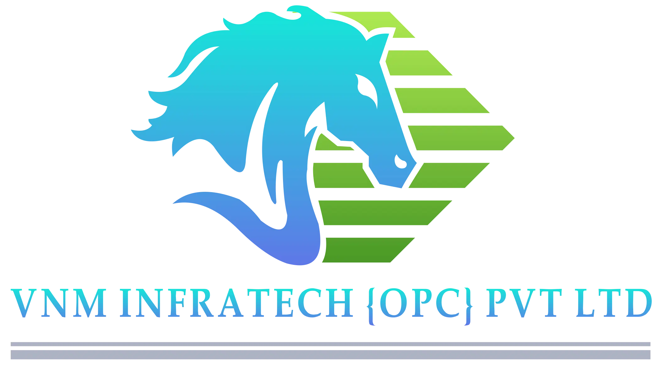 VNM Infratech OPC Pvt. Ltd